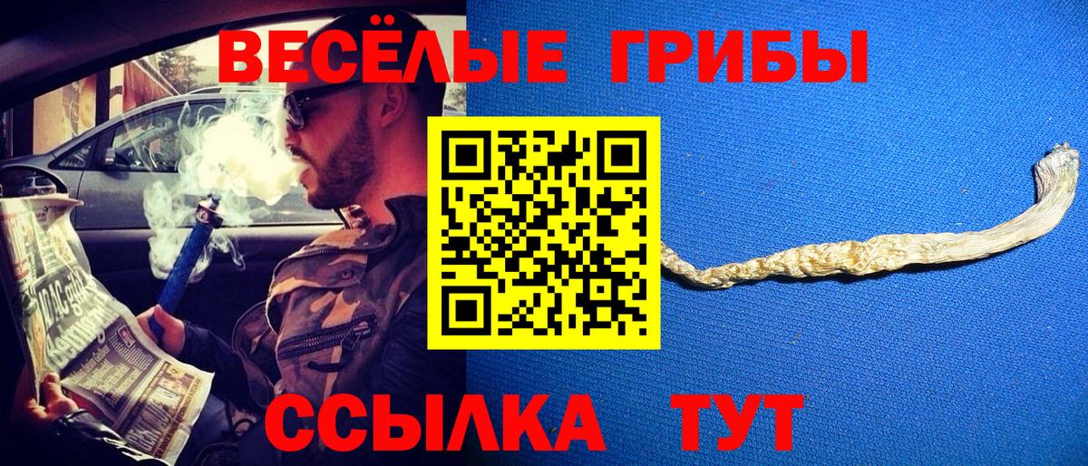 Галлюциногенные грибы Magic Shrooms Уварово